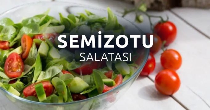Semizotu-Salatası-Yeni-Tarif